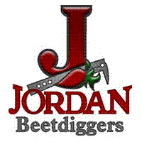 jordan logo